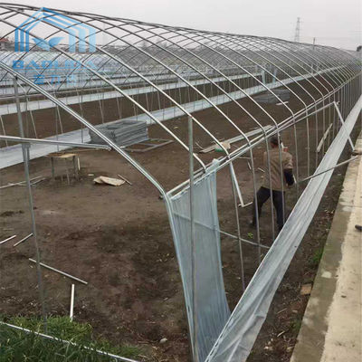 Side Ventilation Plastic Single Span Tunnel Polyethylene Film Greenhouse