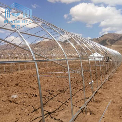 Snow Resistant Large Pointed Roof Tunnel Plastic Greenhouse No Soldering
