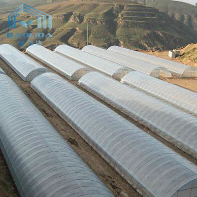 Polyethylene Film Tunnel Steel Frame Greenhouse Single Span Ground Inserted