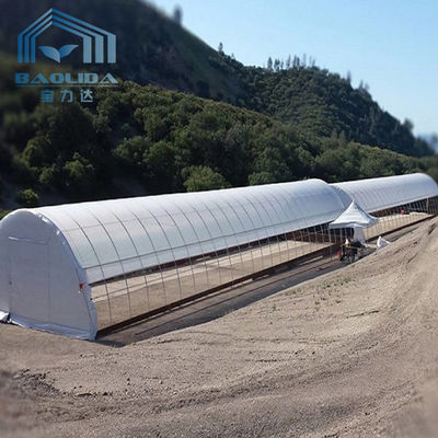 Black White Tunnel Single Span Greenhouse 150 Micron Film Covered No Welding