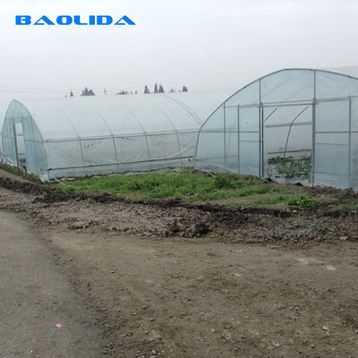 Single Span High Tunnel Plastic Greenhouse With Roof Ventilation System