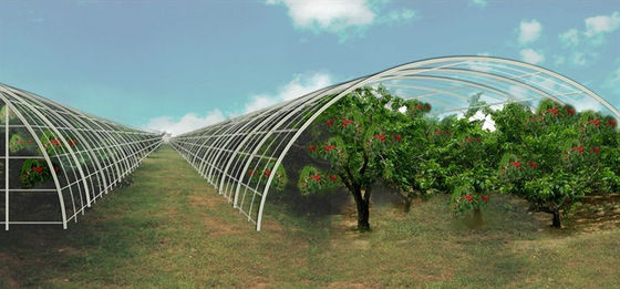 Heavy Arch Steel Frame Plastic Tunnel Greenhouse Corrugated Mini Installed