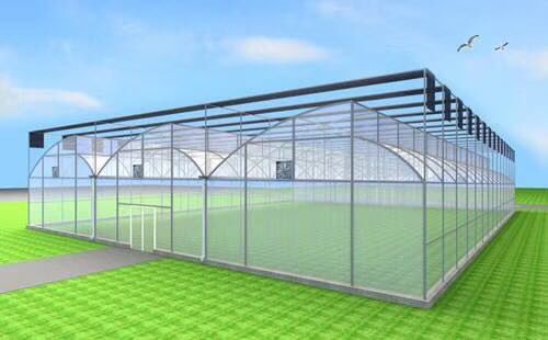 Easily Installed Multi Span Greenhouses for Agricultural Commercial Hydroponic