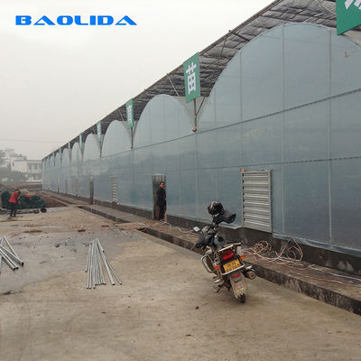 Easily Installed Multi Span Greenhouses for Agricultural Commercial Hydroponic