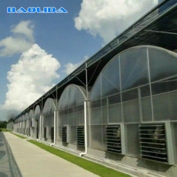 Agricultural Flowers Shading Multi Span Hot Dipped Galvanized Polycarbonate Greenhouse