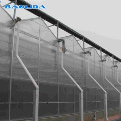 Agricultural Flowers Shading Multi Span Hot Dipped Galvanized Polycarbonate Greenhouse