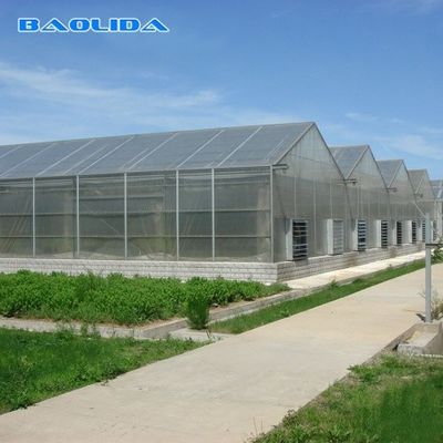 Agricultural Flowers Shading Multi Span Hot Dipped Galvanized Polycarbonate Greenhouse