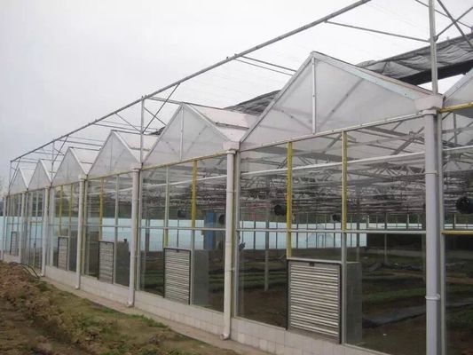 Agricultural Flowers Shading Multi Span Hot Dipped Galvanized Polycarbonate Greenhouse