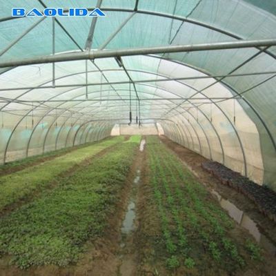 Roof Ventilation Agricultural Grow Tunnel Plastic Greenhouse Tent For Vegetables