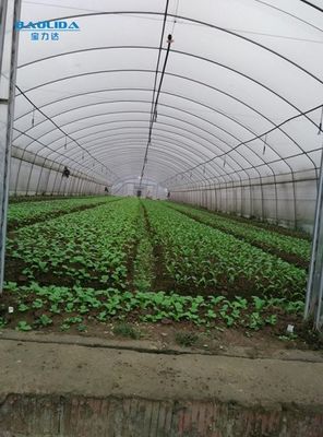Roof Ventilation Agricultural Grow Tunnel Plastic Greenhouse Tent For Vegetables