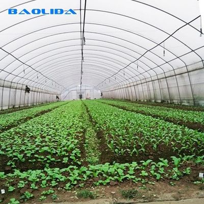 Polyethylene Film Greenhouse Agritulture Tunnel Plastic Greenhouse For Plant Growth
