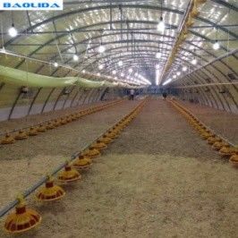 Multi Span Polyethylene Film Tunnel Plastic Greenhouse For Agriculture