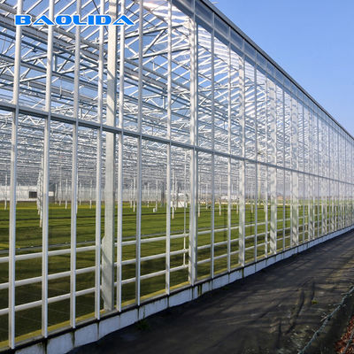 Tunnel Venlo Glass Greenhouse Fully Automatic Climate Control