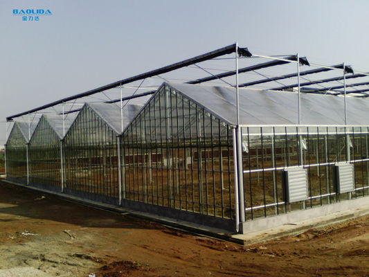 Tunnel Venlo Glass Greenhouse Fully Automatic Climate Control