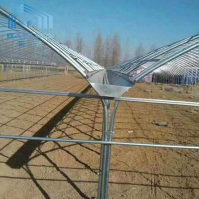 Commercial Single Span Poly Tunnel Greenhouse Automated Agriculture
