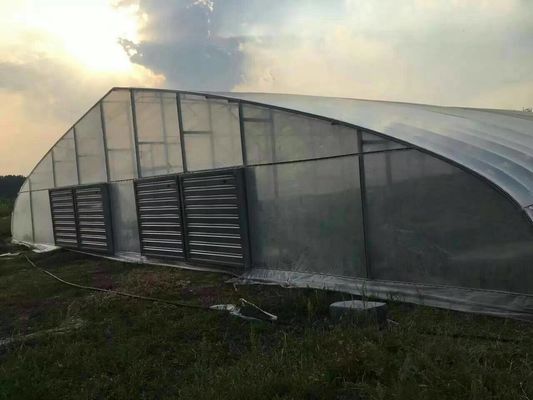 Galvanized PE Film Single Span Greenhouse For Vegetables 9x30m