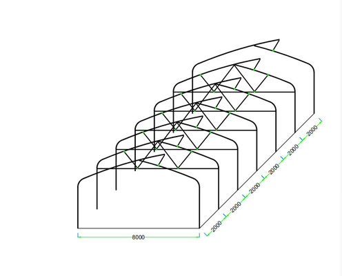 Agriculture Polyethylene Film Tunnel Greenhouse For Seedlings Vegetables