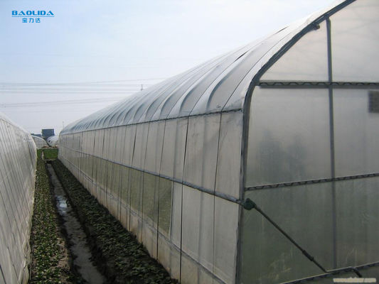 Plastic Film Tunnel Galvanized Steel Frame Greenhouse 10m Width