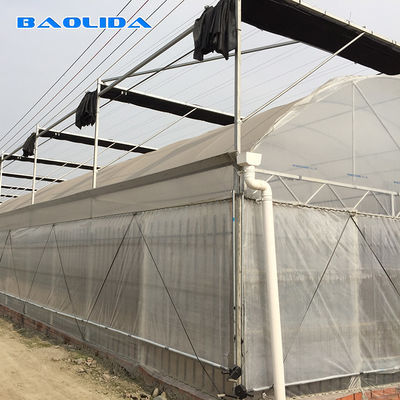 Commercial Poly Tunnel Greenhouse Automated Agriculture Multi Span Greenhouse