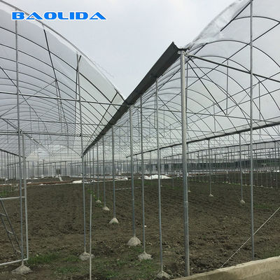 High Tunnel Agricultural Farming Multi Span Greenhouse For Flowers Growing