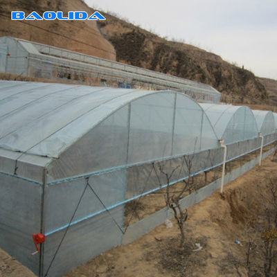 Top Ventilation Plastic Tunnel Multi Span Greenhouse Transparent Color