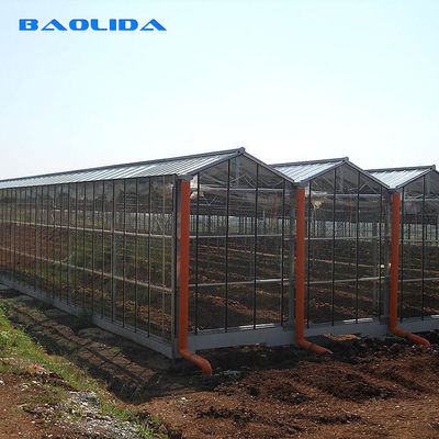 Agricultural Tempered Glass Venlo Type Greenhouse With 48mm Column