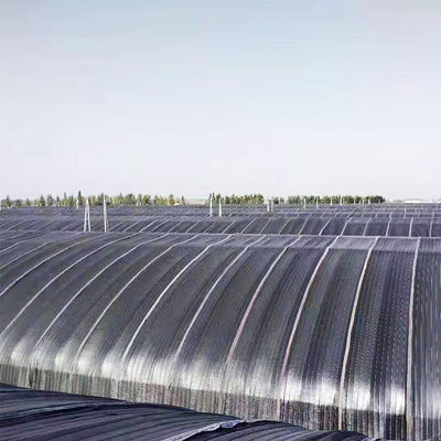 10m*100m Light Deprivation Hydroponic Greenhouse For Hemp Growing
