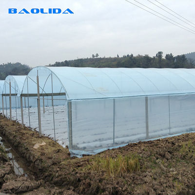 Baolida Multi Span Plastic Film Greenhouses With Hot Dipped Galvanized Frame