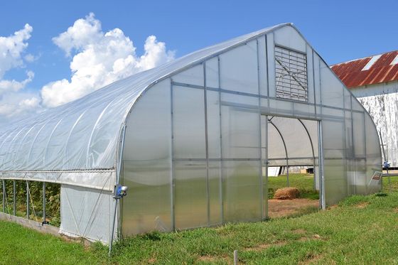 Agriculture Mushroom Management Greenhouse Planting Vegetables Fruits Single-Span Greenhouses