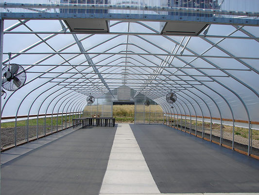 Agricultural Tent Singlespan Polytunnel Green House Poly Film Tunnel