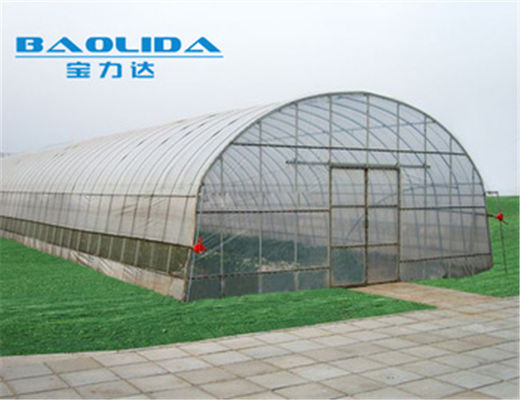 Gothic High Tunnel Vegetable Film Hydroponics Single-Span Greenhouse Construction
