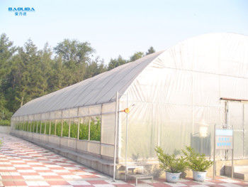 Agricultural Vegetable Tunnel Single Span Greenhouse Plastic Film 150 Micron