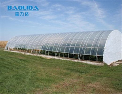 Agricultural Vegetable Tunnel Single Span Greenhouse Plastic Film 150 Micron