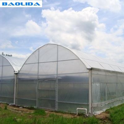 Agricultural Plastic Sheeting Greenhouse With Hot Galvanized Steel Framework
