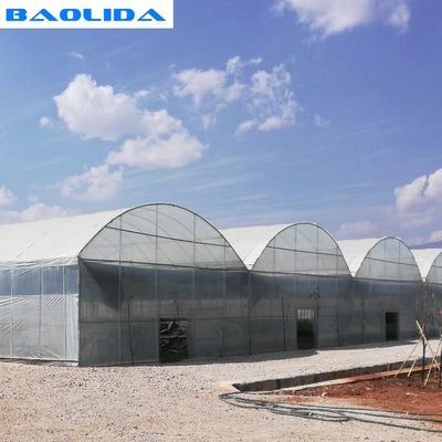 Vegetable Multiple Span Greenhouse Polycarbonate Sheet Covering