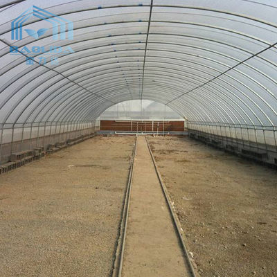 Polytunnel Cooling System Tunnel Plastic Greenhouse With Circulation Fan