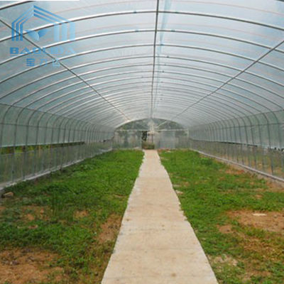 Farming Polyethylene Film Single Span Greenhouse Vertical 80 / 150 Micron