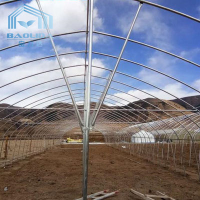 Two Side Net Tunnel Plastic Greenhouse Insect Proof With Air Conditioner