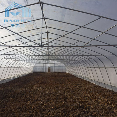 Single-span PE Covered Tunnel Plastic Greenhouse For Strawberry Grape Raspberry