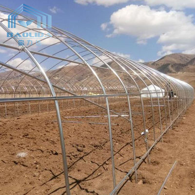 Double Arches Polyethylene Foil Greenhouse Strong Structure for Cold Area