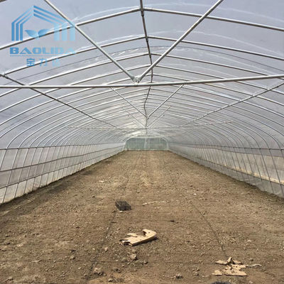 Galvanized Steel Frame Single Span PE Film Greenhouse For Agriculture