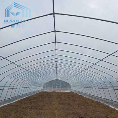 Agricultural Single Span Polycarbonate Tunnel Strawberry PE Greenhouse