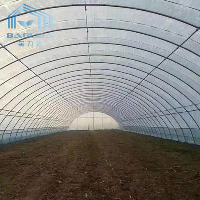 Agriculture Plants Growing Strong Structure Polyethylene Film Greenhouse for Cold Area