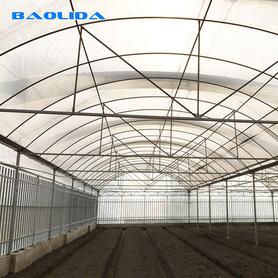 Anti Rust Pipe Film Cover 8m Plastic Grow Tunnel Multi Span Greenhouse