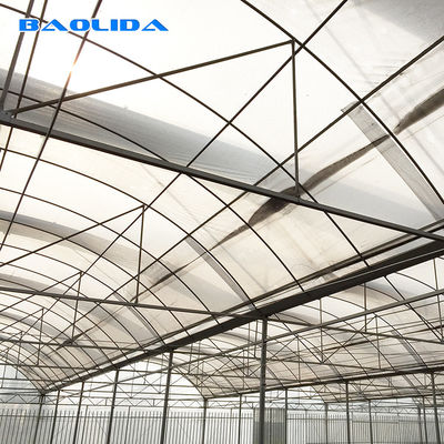Galvanized Steel Pipe Agricultural Plastic Film Multi Span Tunnel Greenhouse For Vegetable