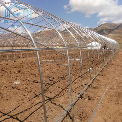 Commercial Plastic Film Galvanized Transparent Tunnel Plastic Greenhouse