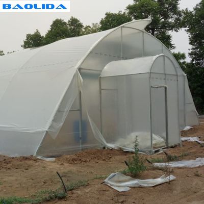 Tropical Area Agricultural Climate Control Greenhouse Hydroponic Tunnel
