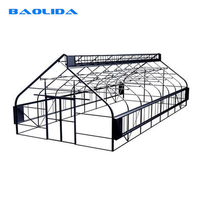 Tropical Area Agricultural Climate Control Greenhouse Hydroponic Tunnel