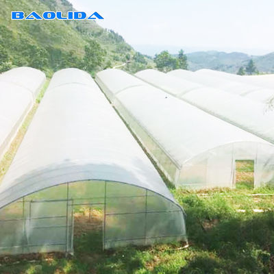 High Latitude Area Ecological Agricultural Greenhouse Hot Dip Galvanized