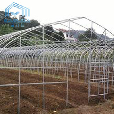 Polytunnel Sri Lanka Colombo Steel Frame Greenhouse Single Span